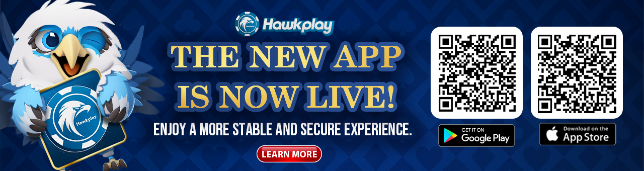 when do you bet in blackjack